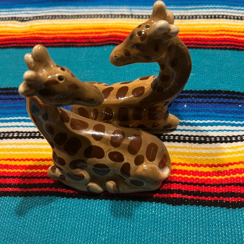 Brown Giraffe Salt & Pepper Shakers